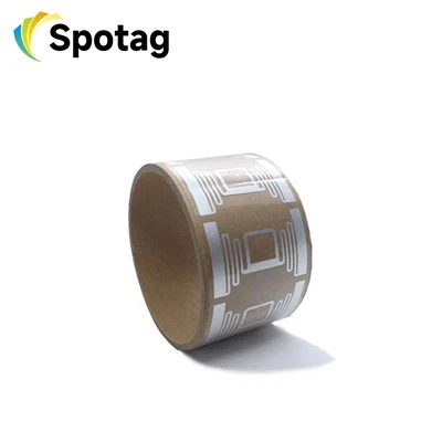 البطانة الجافة