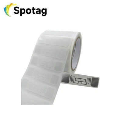 البطانة الرطبة